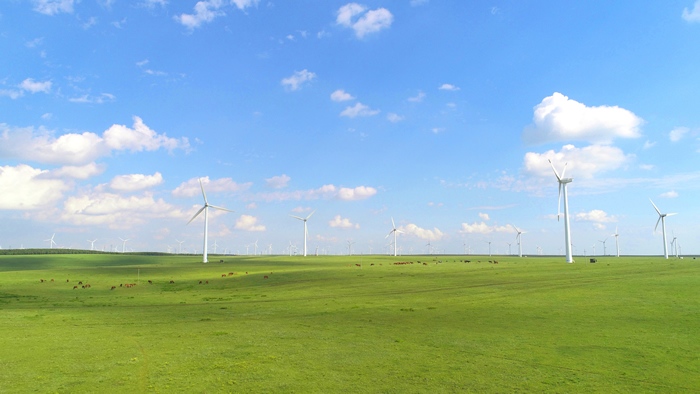 達(dá)茂旗天潤風(fēng)電有限公司二期49.5MW風(fēng)電工程.jpg